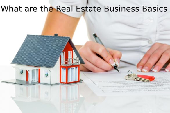 Real Estate Business Basics