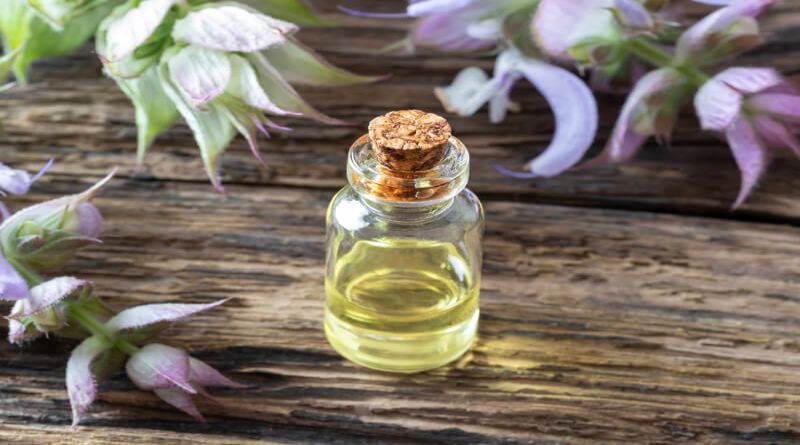 The Advantages Of Clary Sage Essential Oil