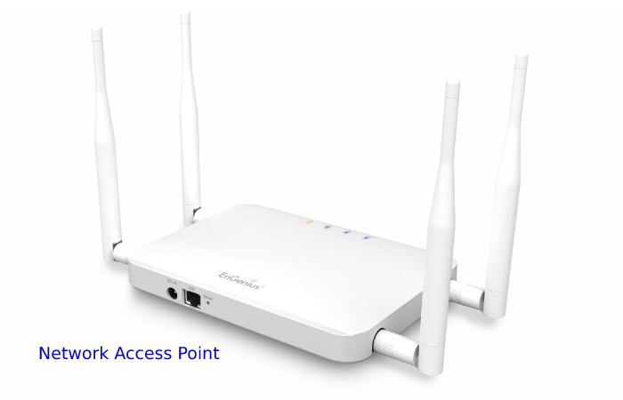 Network Access Point