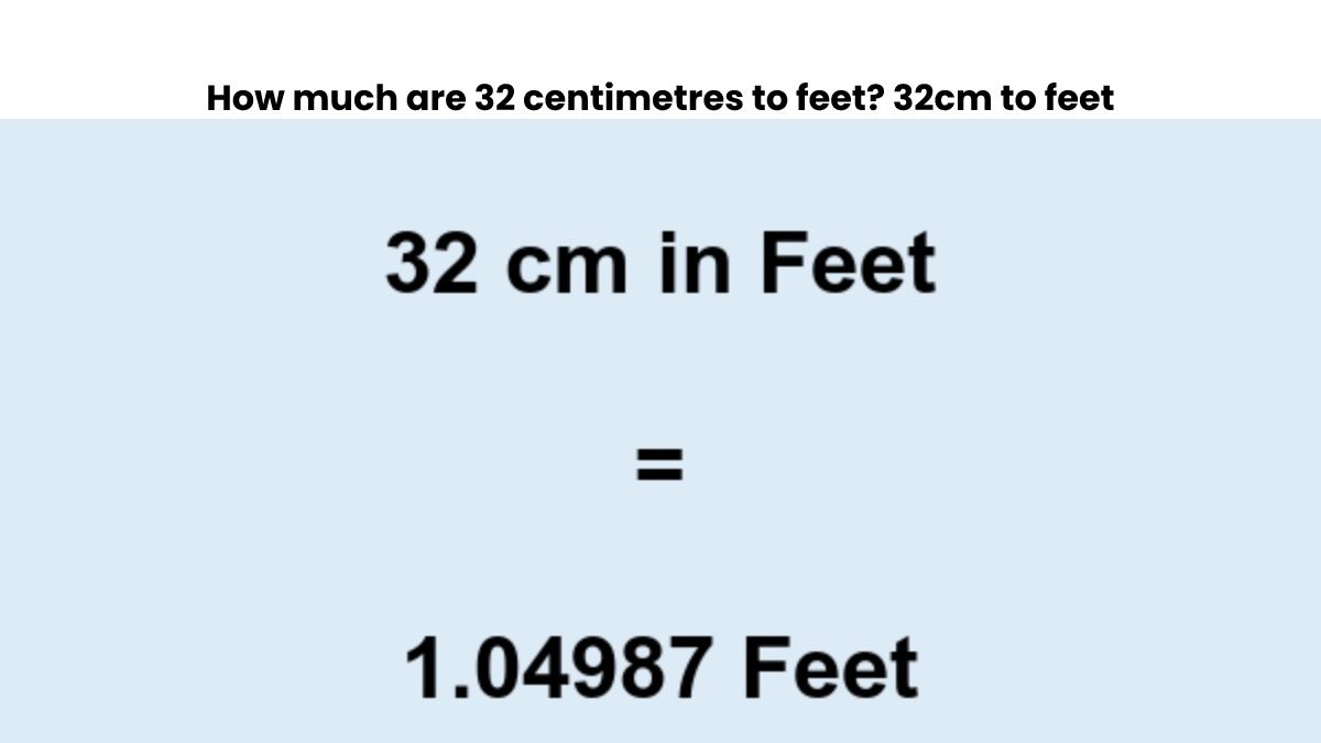 32 Cm To Feet