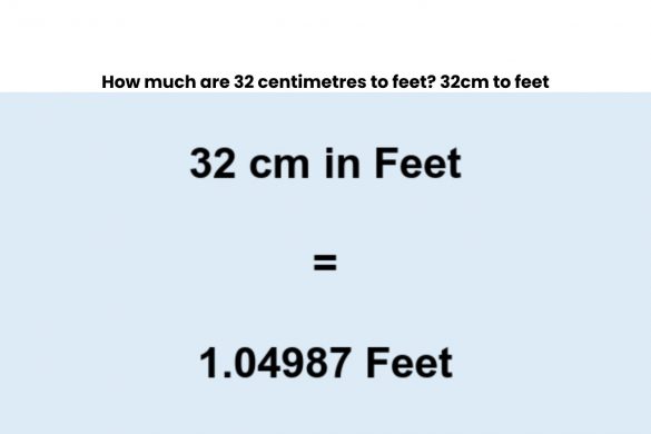 32 cm to feet