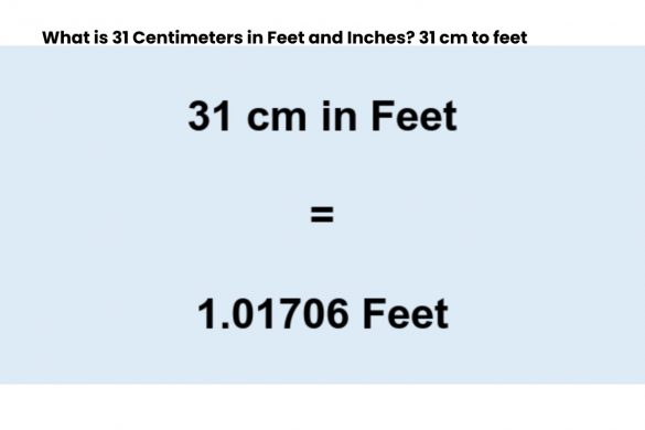 31 cm to feet