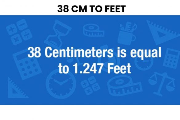 38 cm to feet