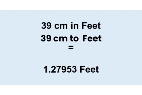 39 cm to feet
