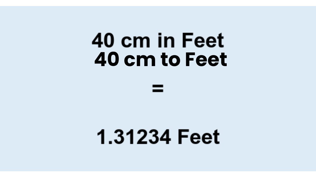 40 Cm To Feet