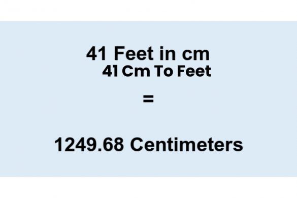 41 cm to feet