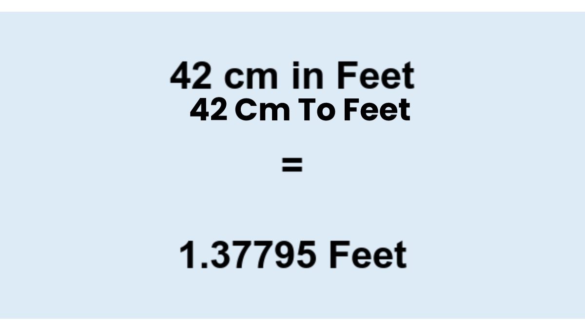 42 Cm To Feet