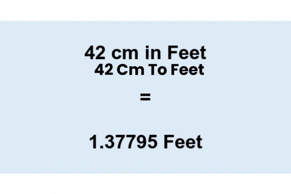 42 cm to feet