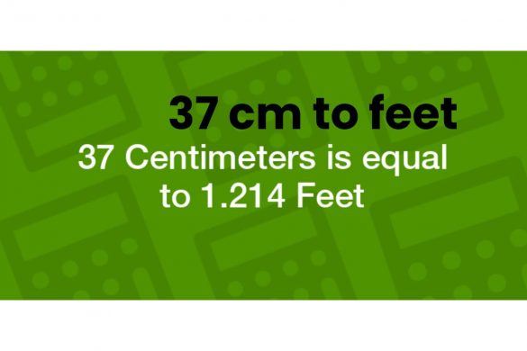 What is 37 cm to feet