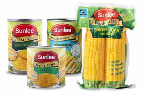 Canned Baby Corn Production, Marketing, and Suppliers in Thailand