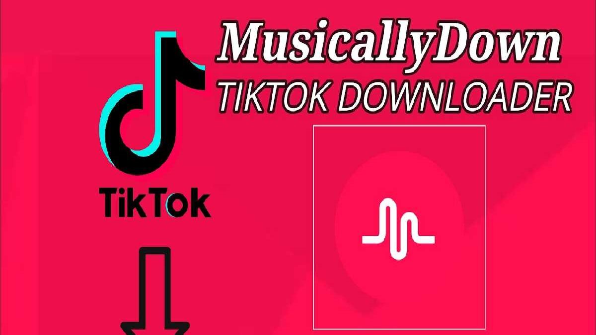 Musicallydown, Solution for Downloading TikTok Videos Without Watermark
