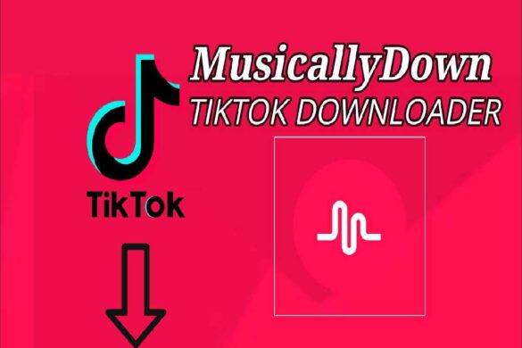 Musicallydown, Downloading TikTok Videos Without Watermark